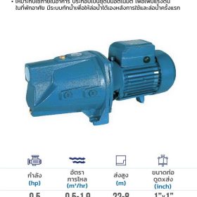 ปั๊มดูดเอง 0.5 HP MJM25(X) STINTERTRADE