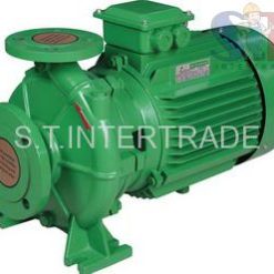 ZUZUMI ปั๊มหอยโข่งหน้าแปลน รุ่น TS 65-40-160C