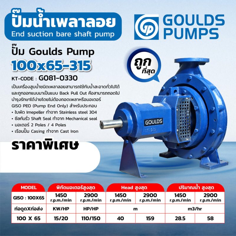 ปั๊ม GOULDSPUMP 100X65-315 STINTERTRADE