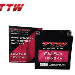 TTW แบตเตอรี่รถจักรยานยนต์แบบแห้ง รุ่น GM5-X