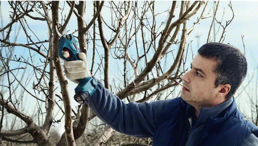 Pro Pruner STINTERTRADE