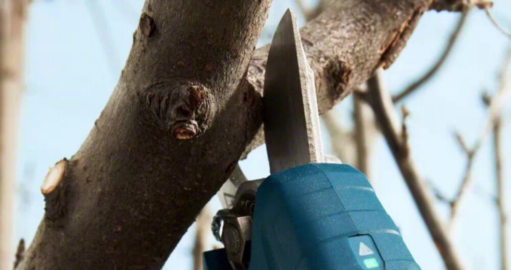 Pro Pruner STINTERTRADE
