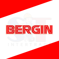 BERGIN