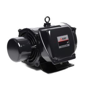 M151-0080 STINTERTRADE