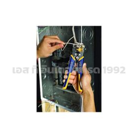 I081-2078300 STINTERTRADE