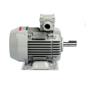 M151-1210 STINTERTRADE